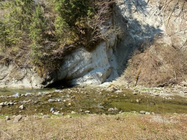 Pilatus dağ kütlesinin kuzey yamaçlarındaki bir orman vadisinde bulunan Ruemlig ya da Rumlig Nehri, Schwarzenberg LU - Lucerne Kantonu (Kanton Luzern), İsviçre