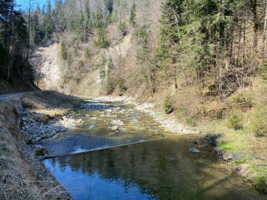 Pilatus dağ kütlesinin kuzey yamaçlarındaki bir orman vadisinde bulunan Ruemlig ya da Rumlig Nehri, Schwarzenberg LU - Lucerne Kantonu (Kanton Luzern), İsviçre