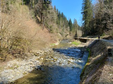 Pilatus dağ kütlesinin kuzey yamaçlarındaki bir orman vadisinde bulunan Ruemlig ya da Rumlig Nehri, Schwarzenberg LU - Lucerne Kantonu (Kanton Luzern), İsviçre