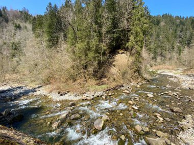 Pilatus dağ kütlesinin kuzey yamaçlarındaki bir orman vadisinde bulunan Ruemlig ya da Rumlig Nehri, Schwarzenberg LU - Lucerne Kantonu (Kanton Luzern), İsviçre