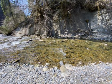 Pilatus dağ kütlesinin kuzey yamaçlarındaki bir orman vadisinde bulunan Ruemlig ya da Rumlig Nehri, Schwarzenberg LU - Lucerne Kantonu (Kanton Luzern), İsviçre
