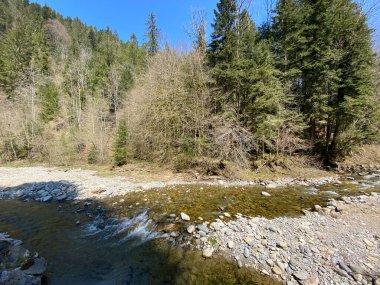 Pilatus dağ kütlesinin kuzey yamaçlarındaki bir orman vadisinde bulunan Ruemlig ya da Rumlig Nehri, Schwarzenberg LU - Lucerne Kantonu (Kanton Luzern), İsviçre