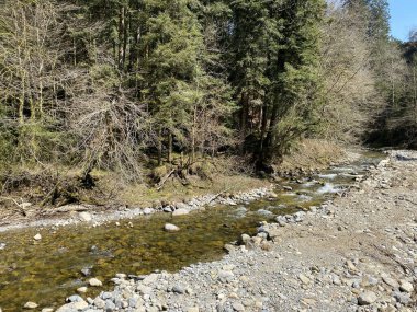 Pilatus dağ kütlesinin kuzey yamaçlarındaki bir orman vadisinde bulunan Ruemlig ya da Rumlig Nehri, Schwarzenberg LU - Lucerne Kantonu (Kanton Luzern), İsviçre