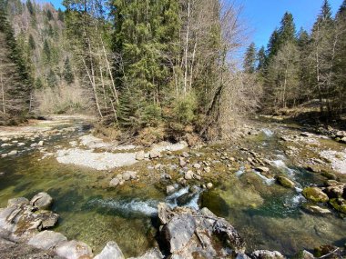 Pilatus dağ kütlesinin kuzey yamaçlarındaki bir orman vadisinde bulunan Ruemlig ya da Rumlig Nehri, Schwarzenberg LU - Lucerne Kantonu (Kanton Luzern), İsviçre