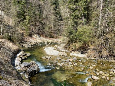 Pilatus dağ kütlesinin kuzey yamaçlarındaki bir orman vadisinde bulunan Ruemlig ya da Rumlig Nehri, Schwarzenberg LU - Lucerne Kantonu (Kanton Luzern), İsviçre