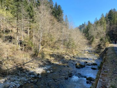 Pilatus dağ kütlesinin kuzey yamaçlarındaki bir orman vadisinde bulunan Ruemlig ya da Rumlig Nehri, Schwarzenberg LU - Lucerne Kantonu (Kanton Luzern), İsviçre
