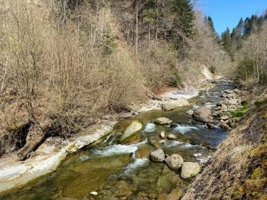 Pilatus dağ kütlesinin kuzey yamaçlarındaki bir orman vadisinde bulunan Ruemlig ya da Rumlig Nehri, Schwarzenberg LU - Lucerne Kantonu (Kanton Luzern), İsviçre