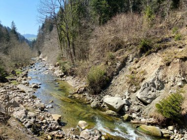 Pilatus dağ kütlesinin kuzey yamaçlarındaki bir orman vadisinde bulunan Ruemlig ya da Rumlig Nehri, Schwarzenberg LU - Lucerne Kantonu (Kanton Luzern), İsviçre