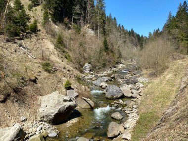 Pilatus dağ kütlesinin kuzey yamaçlarındaki bir orman vadisinde bulunan Ruemlig ya da Rumlig Nehri, Schwarzenberg LU - Lucerne Kantonu (Kanton Luzern), İsviçre