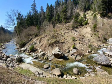 Pilatus dağ kütlesinin kuzey yamaçlarındaki bir orman vadisinde bulunan Ruemlig ya da Rumlig Nehri, Schwarzenberg LU - Lucerne Kantonu (Kanton Luzern), İsviçre