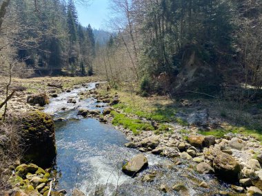 Pilatus dağ kütlesinin kuzey yamaçlarındaki bir orman vadisinde bulunan Ruemlig ya da Rumlig Nehri, Schwarzenberg LU - Lucerne Kantonu (Kanton Luzern), İsviçre