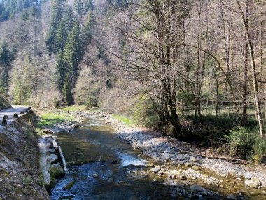 Pilatus dağ kütlesinin kuzey yamaçlarındaki bir orman vadisinde bulunan Ruemlig ya da Rumlig Nehri, Schwarzenberg LU - Lucerne Kantonu (Kanton Luzern), İsviçre