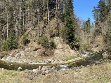 Pilatus dağ kütlesinin kuzey yamaçlarındaki bir orman vadisinde bulunan Ruemlig ya da Rumlig Nehri, Schwarzenberg LU - Lucerne Kantonu (Kanton Luzern), İsviçre