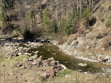 Pilatus dağ kütlesinin kuzey yamaçlarındaki bir orman vadisinde bulunan Ruemlig ya da Rumlig Nehri, Schwarzenberg LU - Lucerne Kantonu (Kanton Luzern), İsviçre