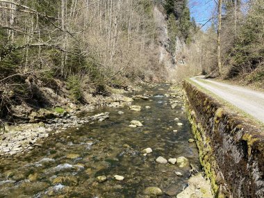 Pilatus dağ kütlesinin kuzey yamaçlarındaki bir orman vadisinde bulunan Ruemlig ya da Rumlig Nehri, Schwarzenberg LU - Lucerne Kantonu (Kanton Luzern), İsviçre