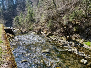 Pilatus dağ kütlesinin kuzey yamaçlarındaki bir orman vadisinde bulunan Ruemlig ya da Rumlig Nehri, Schwarzenberg LU - Lucerne Kantonu (Kanton Luzern), İsviçre