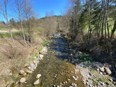 Pilatus dağ kütlesinin kuzey yamaçlarındaki bir orman vadisinde bulunan Ruemlig ya da Rumlig Nehri, Schwarzenberg LU - Lucerne Kantonu (Kanton Luzern), İsviçre