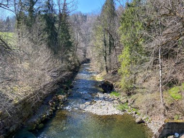 Pilatus dağ kütlesinin kuzey yamaçlarındaki bir orman vadisinde bulunan Ruemlig ya da Rumlig Nehri, Schwarzenberg LU - Lucerne Kantonu (Kanton Luzern), İsviçre