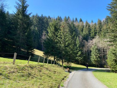 İsviçre dağ kütlesi Pilatus, Schwarzenberg LU - Lucerne Kantonu (Kanton Luzern), İsviçre (Schweiz)