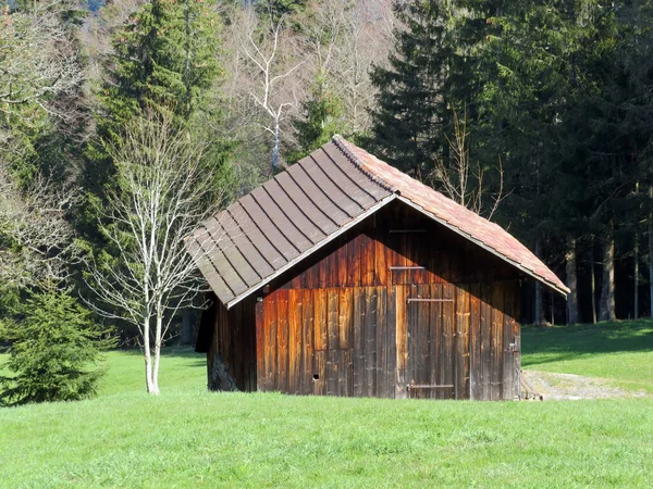 Chaty Pastwiskach Lub Gospodarstwach Rolnych Oraz Starych Drewnianych Domach Dla — Zdjęcie stockowe
