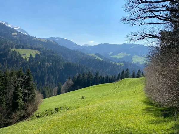 Subalpské Louky Pastviny Svazích Švýcarského Horského Masivu Pilatus Počátku Jara — Stock fotografie