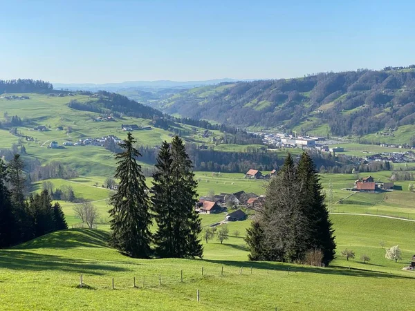 Subalpine Weiden Und Viehweiden Den Hängen Des Schweizer Bergmassivs Pilatus — Stockfoto