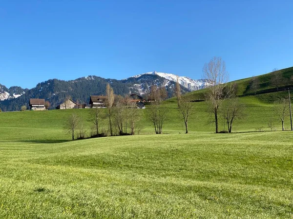 Baharın Başlarında Sviçre Dağ Kütlesi Pilatus Yamaçlarında Bulunan Subalpine Çayırlar — Stok fotoğraf