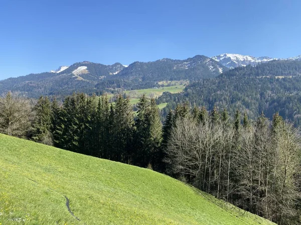 スイスの大規模なピラトゥス シュワルツェンベルクLu ルツェルンのカントン カントン ルツェルン スイス スイス の斜面に早春の混合亜高山の森林や様々な木 — ストック写真