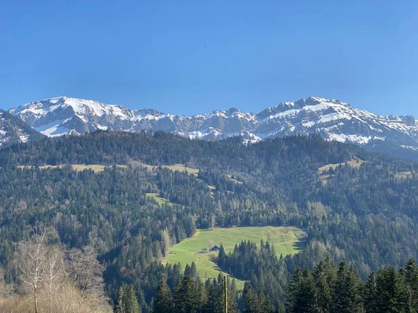 Mieszane Lasy Podalpejskie Różne Drzewa Wczesną Wiosną Zboczach Szwajcarskiego Masywu — Zdjęcie stockowe