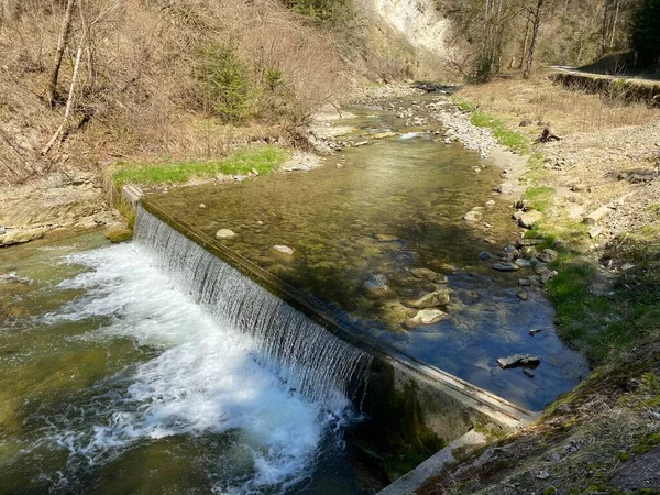 Subalpine River Ruemlig Або Rumlig Лісовій Ущелині Дні Північних Схилів — стокове фото