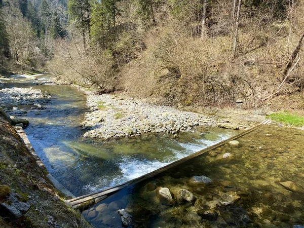 Fiume Subalpino Ruemlig Rumlig Una Gola Forestale Piedi Delle Pendici — Foto Stock