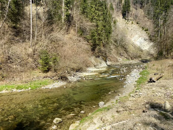 Rivière Subalpine Ruemlig Rumlig Dans Une Gorge Forestière Fond Des — Photo