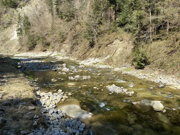 Fiume Subalpino Ruemlig Rumlig Una Gola Forestale Piedi Delle Pendici — Foto Stock