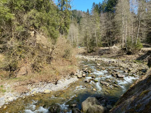 Río Subalpino Ruemlig Rumlig Desfiladero Forestal Fondo Las Laderas Septentrionales — Foto de Stock