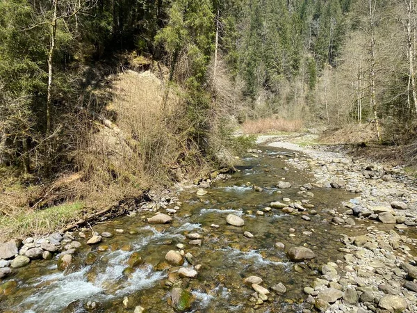 Rivière Subalpine Ruemlig Rumlig Dans Une Gorge Forestière Fond Des — Photo