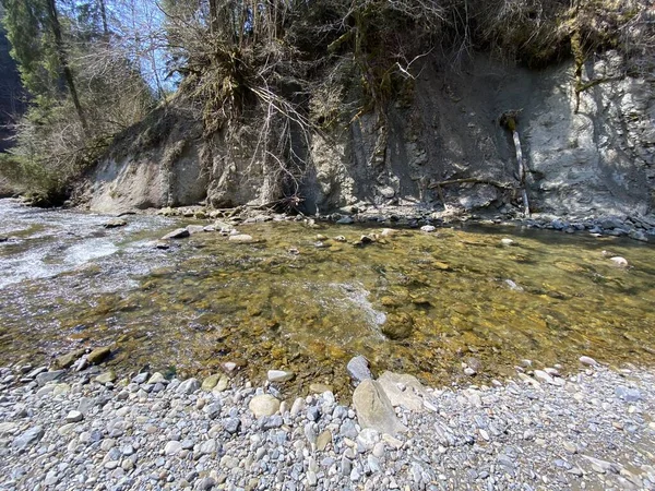 Rivière Subalpine Ruemlig Rumlig Dans Une Gorge Forestière Fond Des — Photo