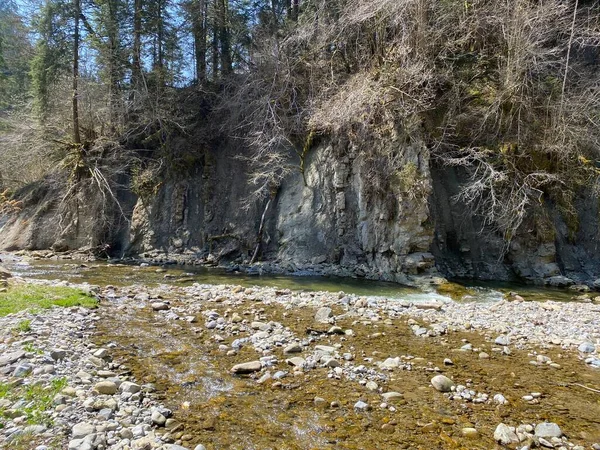 Υποαλπικός Ποταμός Ruemlig Rumlig Δασικό Φαράγγι Στον Πυθμένα Των Βόρειων — Φωτογραφία Αρχείου