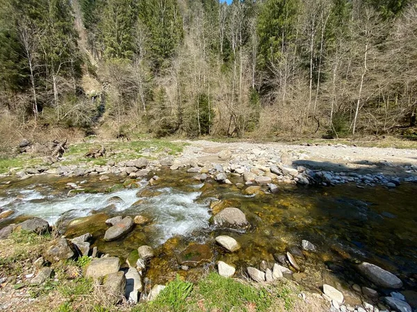 Rivière Subalpine Ruemlig Rumlig Dans Une Gorge Forestière Fond Des — Photo