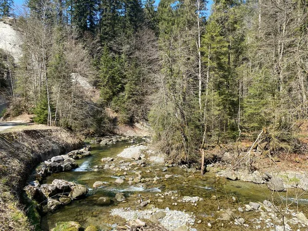 Subalpine River Ruemlig Або Rumlig Лісовій Ущелині Дні Північних Схилів — стокове фото