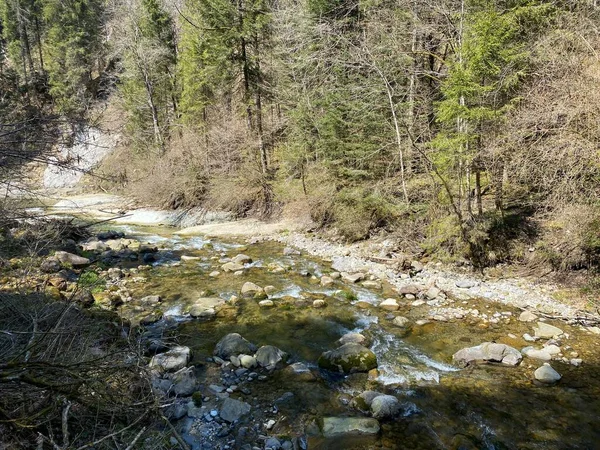 Rivière Subalpine Ruemlig Rumlig Dans Une Gorge Forestière Fond Des — Photo