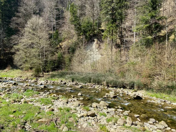 Subalpine River Ruemlig Rumlig Forest Gorge Bottom Northern Slopes Pilatus — Stock Photo, Image