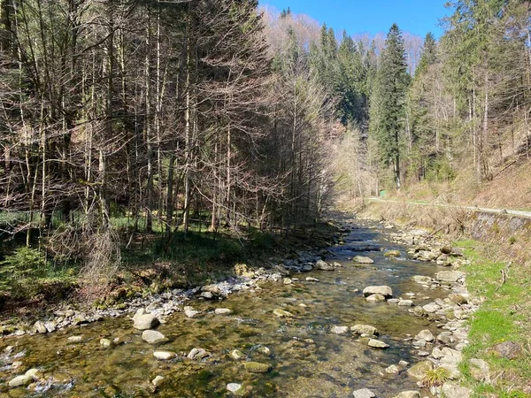 Río Subalpino Ruemlig Rumlig Desfiladero Forestal Fondo Las Laderas Septentrionales — Foto de Stock