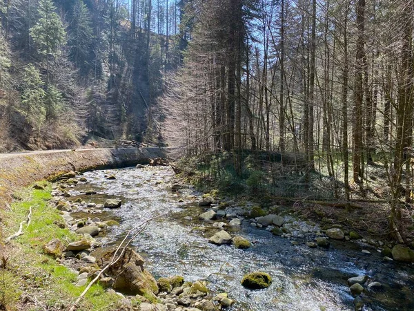 Υποαλπικός Ποταμός Ruemlig Rumlig Δασικό Φαράγγι Στον Πυθμένα Των Βόρειων — Φωτογραφία Αρχείου