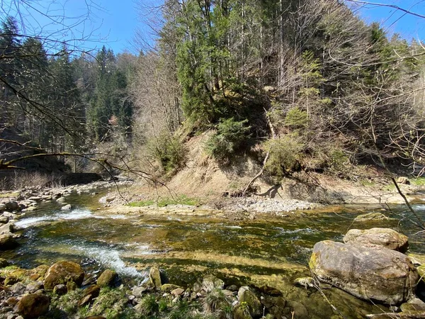 Rivière Subalpine Ruemlig Rumlig Dans Une Gorge Forestière Fond Des — Photo