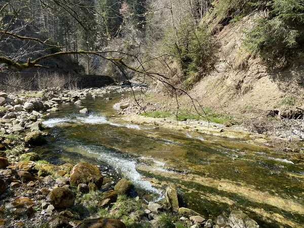 Subalpine River Ruemlig Або Rumlig Лісовій Ущелині Дні Північних Схилів — стокове фото