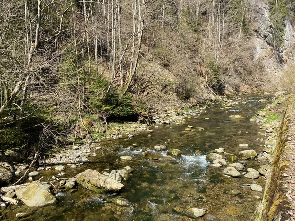 Rivière Subalpine Ruemlig Rumlig Dans Une Gorge Forestière Fond Des — Photo