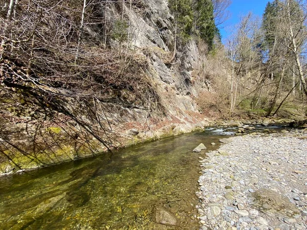 Rivière Subalpine Ruemlig Rumlig Dans Une Gorge Forestière Fond Des — Photo