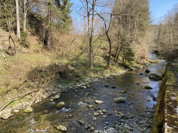 Río Subalpino Ruemlig Rumlig Desfiladero Forestal Fondo Las Laderas Septentrionales — Foto de Stock