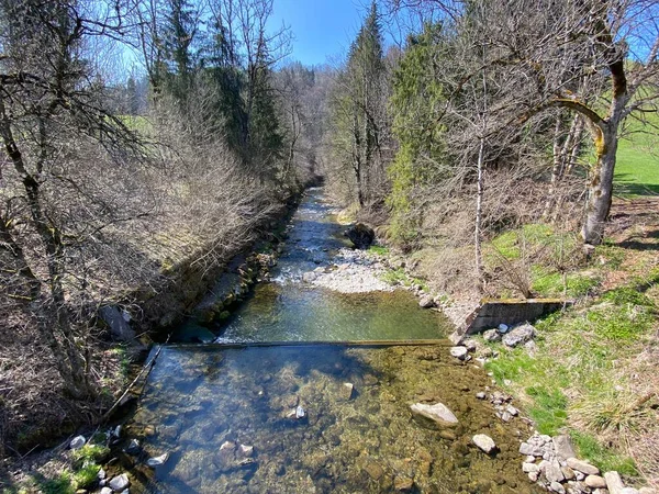 Fiume Subalpino Ruemlig Rumlig Una Gola Forestale Piedi Delle Pendici — Foto Stock