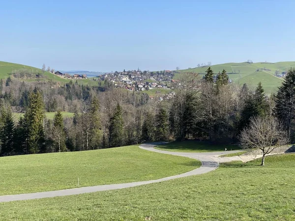 Subalpina Vägar Fjällskogsstigar Och Motionscykelleder Sluttningarna Det Schweiziska Bergsmassivet Pilatus — Stockfoto